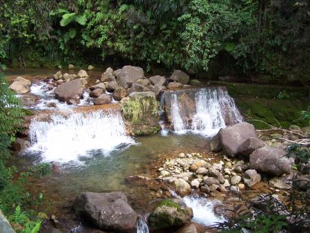 nature